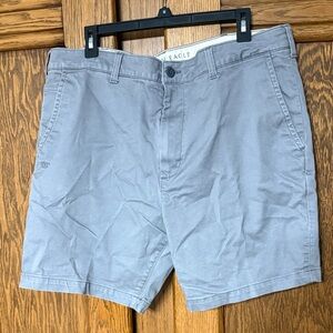 American Eagle Outfitters Men's Blue Shorts